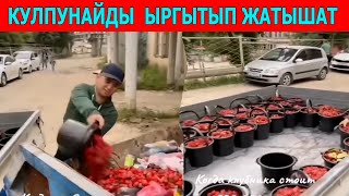 КУЛПУНАЙДЫ БЕКЕР ТАРКАТЫП МУСУРГА ТӨГҮП [upl. by Annocahs22]