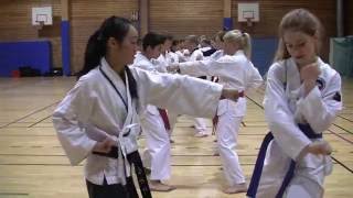 Part2 Master Anna Kim 6 Dan Taekwondo Training session Part 2 of 2 [upl. by Ayo]