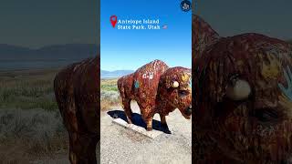 Bison Statue at Antelope Island Utah  shorts utah bison greatsaltlake [upl. by Moersch]