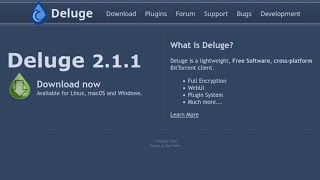 Deluge  Selfhosted Seedbox [upl. by Dihaz502]