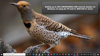 Installing an Alfa AWUS036NHA USB Network Adapter on Windows 10 using a TPLink driver [upl. by Asir]