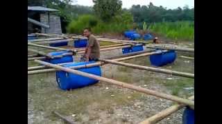 PROJEK IKAN SANGKAR BULUH LOMBONG DI KARAK [upl. by Easter]