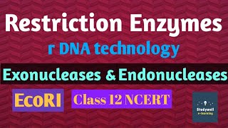 ToolsofrecombinantDNA RestrictionEnzymesExonucleases Endonucleases RecombinantDNAEcoRI [upl. by Aurel]