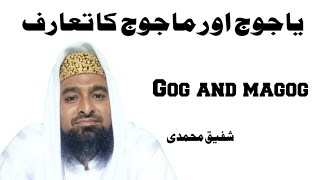 Gog And Magog  Islamic Bayan In Urdu  Shafiq Muhammadi 92 [upl. by Nylrahc]