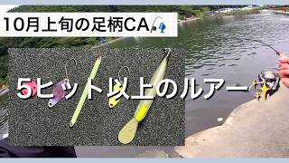 10月上旬の足柄CA🎣この日5ヒット以上したルアー5つがコレ✨【エリアトラウト】【管理釣り場】【足柄キャスティングエリア】 [upl. by Sillyrama761]