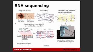 Gene Expression [upl. by Malkin]