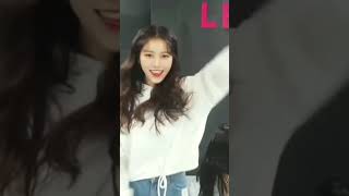 justiceforsidhumosewala merries stand with daisy momoland boom boom [upl. by Cowden90]