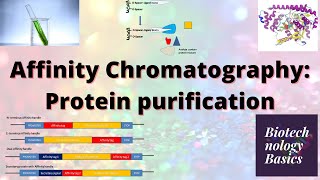 Affinity Chromatography Protein purification [upl. by Press]