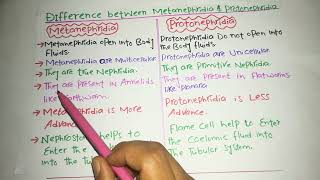 Difference between protonephridia and metanephridia [upl. by Lonny358]