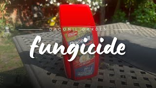 Save Your Garden with Daconil Fungicide Concentrate 🍃 [upl. by Potter]