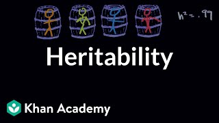 Heritability  Behavior  MCAT  Khan Academy [upl. by Medin]