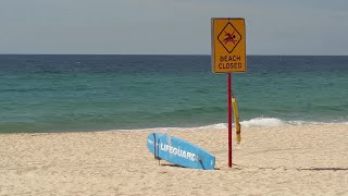 Sydney beaches closed after fatal shark attack [upl. by Armat139]