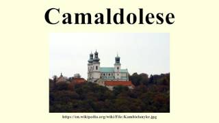 Camaldolese [upl. by Eseerehs233]