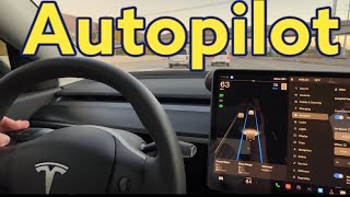 Tesla AutoPilot Basics  How To Use Auto Pilot In Tesla Model Y amp 3 [upl. by Jonathan]