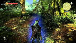 Lets Play The Witcher 2 033 Deutsch  Nix mit Bitcher [upl. by Dahsraf]