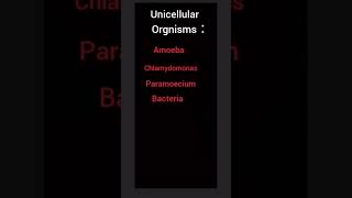 unicellular organisms [upl. by Analart]