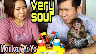 Dad and YoYo JR got bad results when playing games with Mom  Monkey Baby YoYo [upl. by Risley]