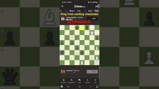 King from castling checkmate Bundesliga Schach Chesscom catur शतरंज 26 Oktober 2024 [upl. by Dhiman749]