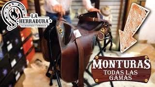 👀Checa toda la GAMA de nuestras MONTURAS🐎 montura monturaswow talabarteria tenancingo jinetes [upl. by Marigolde]