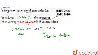 In lac operon system lacIgene codes for [upl. by O'Callaghan875]