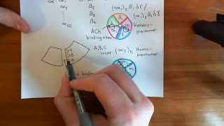 The Structure and Opening Mechanism of CysLoop Receptors Part 5 [upl. by Kimberly]