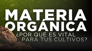 Materia orgánica Claves para un suelo más saludable [upl. by Aelyk]