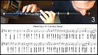 Tuto Irish Flute  Blind Mary OCarolan Dmaj [upl. by Norud286]