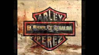 arley perez chikilin avendaño [upl. by Ocsicnarf]