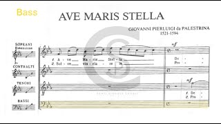 Bass  Ave Maris Stella Palestrina [upl. by Eseuqram991]