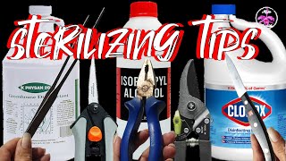 How to Sterilize Pruning Tools amp Pots for Orchids as well as Houseplants ninjaorchids [upl. by Boorer]