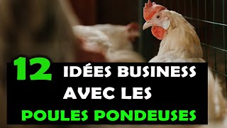 POULES PONDEUSES Voici 12 idées de business intéressantes à lancer dans laviculture en Afrique [upl. by Olshausen797]