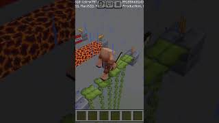 Which Piglin Can Pass This Parkour Red PhoenixShortViralMinecraft [upl. by Artek]