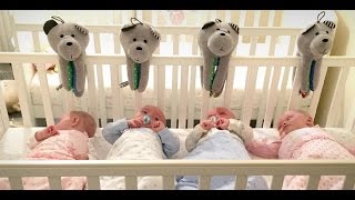 Quadruple happiness  Quadruple humming  british quadruplets got their Whisbears [upl. by Brottman]