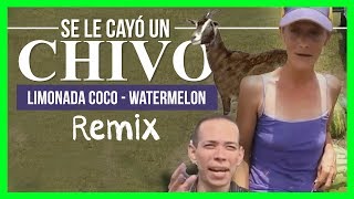 Limonada Coco  Se Le Cayó Un Chivo  Watermelon [upl. by Anifled711]