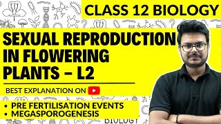 CBSE Class 12  Sexual Reproduction in Flowering Plants  Pre Fertilization Events Megasporogenesis [upl. by Tibold198]