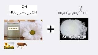 What Is Glyceryl Stearate And Is It Safe To Use [upl. by Maillil]