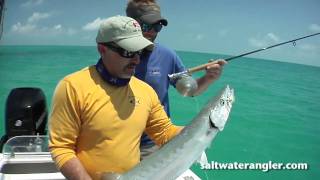 Saltwater Fly Fishing in the Florida Keys  Fly Fishing a Wreck [upl. by Wehhtam]