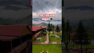 quotPine Track Hotel Balakot A heaven in the Hillsquot explore travel shorts [upl. by Raquel358]