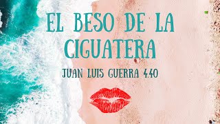 Yas Cepeda  El Beso De La Ciguatera feat Juan Luis Guerra 440  Radio Edit [upl. by Kipper479]