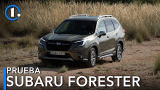 Prueba Subaru Forester 2022 el SUV más todoterreno  Review en español  Test [upl. by Ehsom]