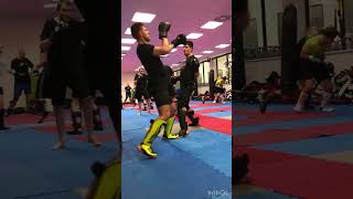 TIGER GYM PRAHA action cut movie 🎥 sparring Thaibox 2922024 [upl. by Fisa]