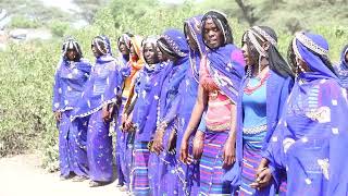 Qafar Seyoo Eide afar Beautiful cultural dance 2024 ethiopian culturaldance [upl. by Charpentier]