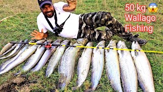 😱50 kg Big Wallago Fishing Techniques  Big fish pathan Fishing Videos  Ahtesham khan Fishing [upl. by Larisa]