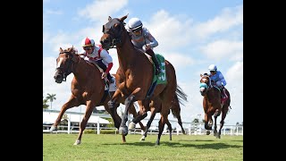 Gulfstream Park Resumen  20 de Marzo 2024 [upl. by Dorella29]