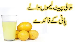 Lemon or Neem Garam Pani ke fayde  Lemon with Warm Water in urdu [upl. by Odin249]