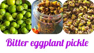 Teeta baingan ka aachar Bitter eggplant pickle itsmemalachicooking [upl. by Pitarys]