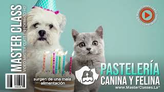 Pastelería Canina y Felina [upl. by Ellenod]