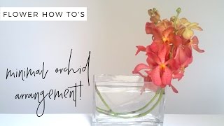 DIY Easy Orchid Arrangement [upl. by Silverman]