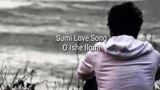 Oishe Ilomi Ghokiye Natsumi Sumi love song [upl. by Eesac]