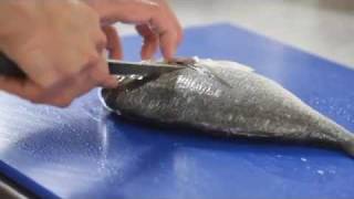 How To Fillet Bream [upl. by Meeks329]